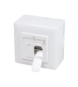 RJ45 wandcontactdozen
